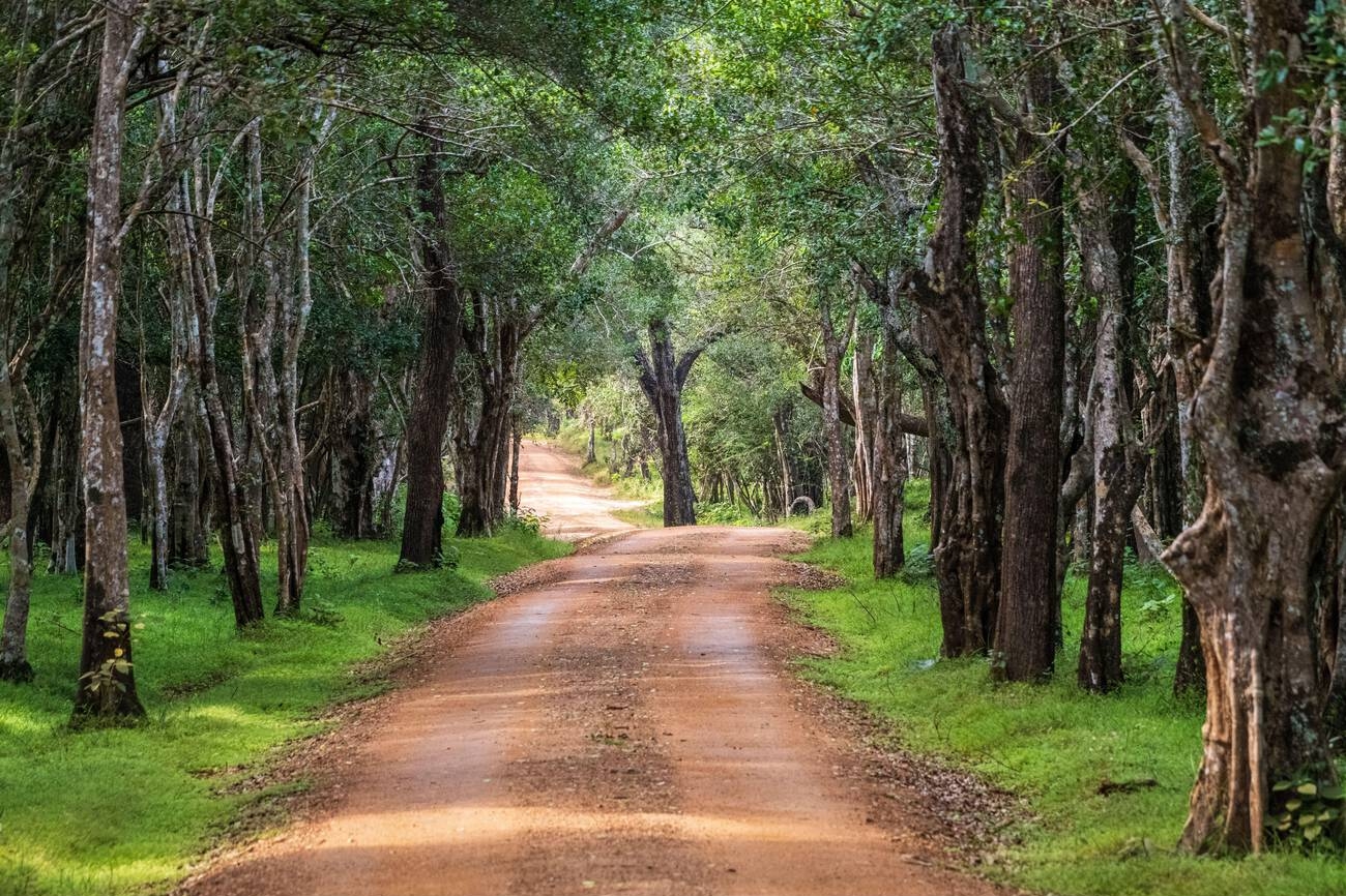 Wilpattu National Park